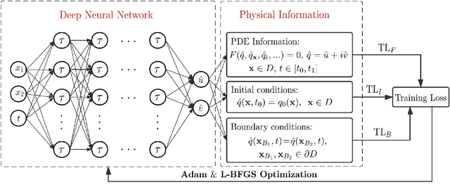 Figure 1 for Deep neural networks for solving forward and inverse problems of (2+1)-dimensional nonlinear wave equations with rational solitons