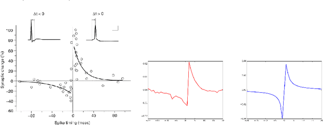 Figure 1 for STDP as presynaptic activity times rate of change of postsynaptic activity