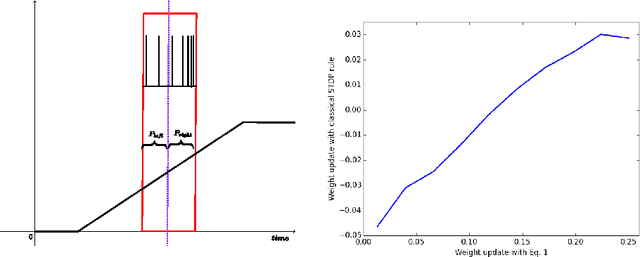 Figure 2 for STDP as presynaptic activity times rate of change of postsynaptic activity