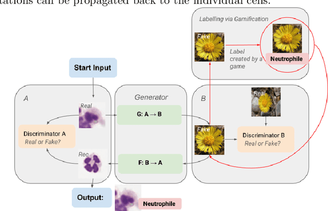 Figure 1 for First steps on Gamification of Lung Fluid Cells Annotations in the Flower Domain