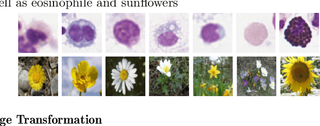 Figure 2 for First steps on Gamification of Lung Fluid Cells Annotations in the Flower Domain