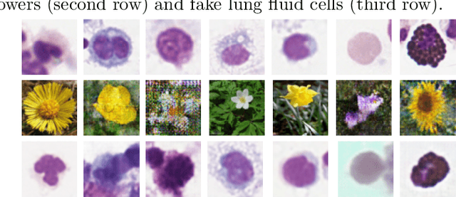 Figure 3 for First steps on Gamification of Lung Fluid Cells Annotations in the Flower Domain