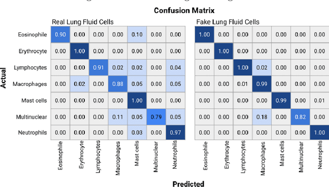 Figure 4 for First steps on Gamification of Lung Fluid Cells Annotations in the Flower Domain