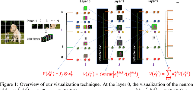 Figure 1 for Vision Transformer Visualization: What Neurons Tell and How Neurons Behave?
