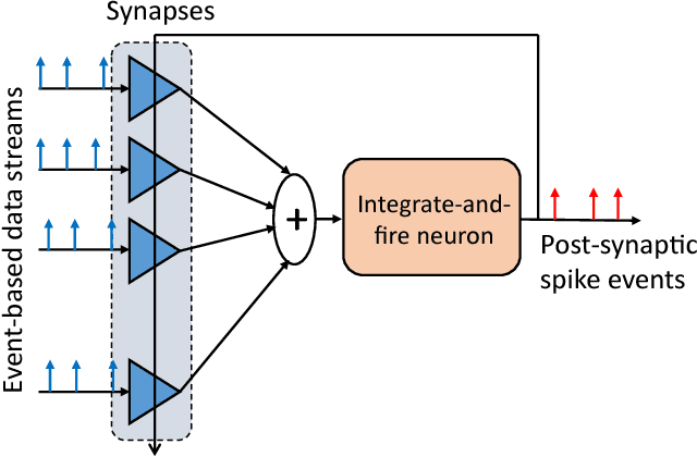 Figure 1 for Fatiguing STDP: Learning from Spike-Timing Codes in the Presence of Rate Codes