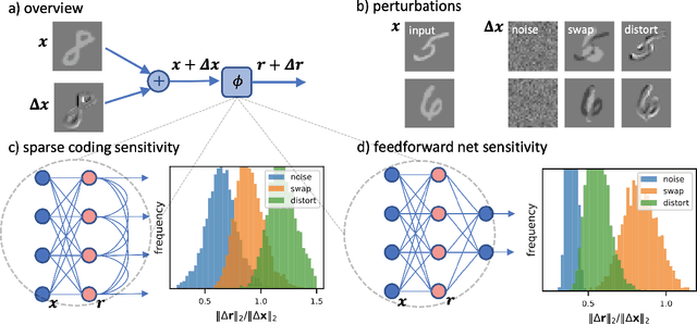 Figure 1 for Sensitivity of sparse codes to image distortions