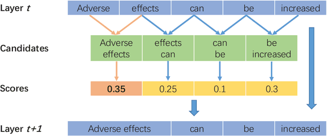 Figure 3 for BERE: An accurate distantly supervised biomedical entity relation extraction network