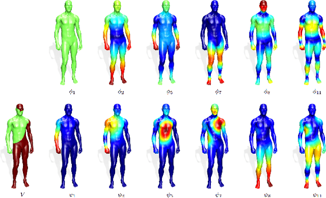 Figure 2 for Hamiltonian operator for spectral shape analysis