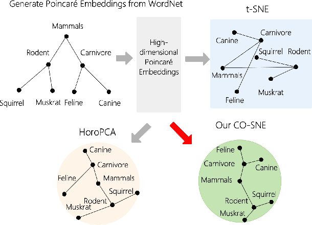 Figure 1 for CO-SNE: Dimensionality Reduction and Visualization for Hyperbolic Data