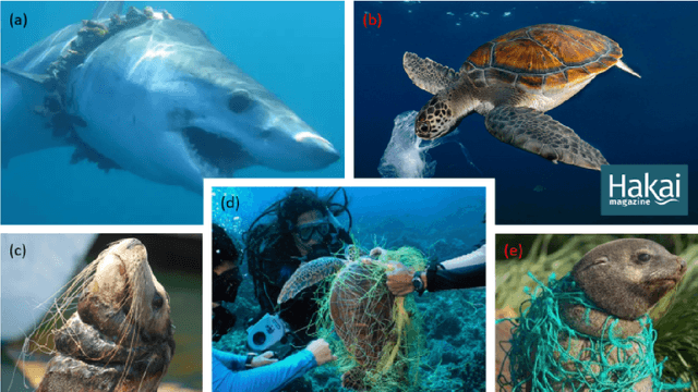 Figure 3 for Can We "Sense" the Call of The Ocean? Current Advances in Remote Sensing Computational Imaging for Marine Debris Monitoring