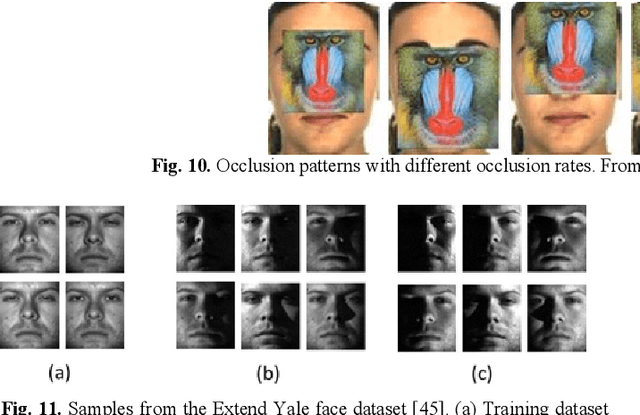 Figure 2 for Occluded Face Recognition Using Low-rank Regression with Generalized Gradient Direction
