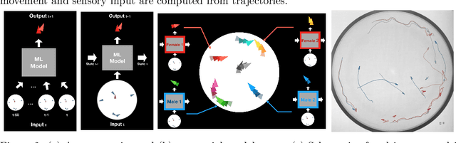 Figure 2 for Evaluation metrics for behaviour modeling