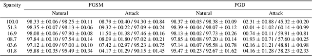 Figure 1 for The Search for Sparse, Robust Neural Networks