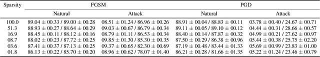Figure 3 for The Search for Sparse, Robust Neural Networks