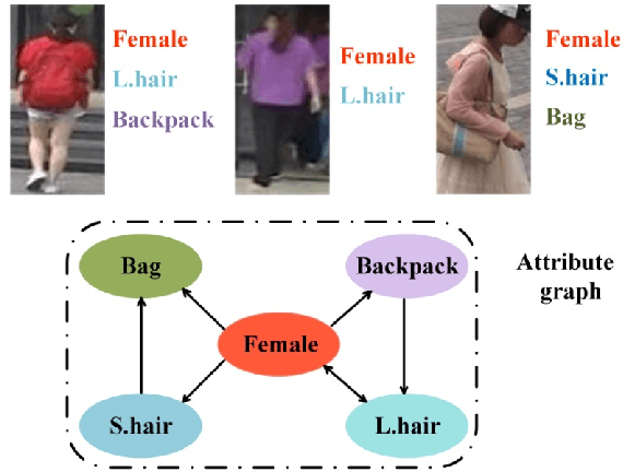 Figure 1 for AttKGCN: Attribute Knowledge Graph Convolutional Network for Person Re-identification