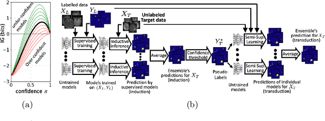 Figure 1 for Transductive image segmentation: Self-training and effect of uncertainty estimation