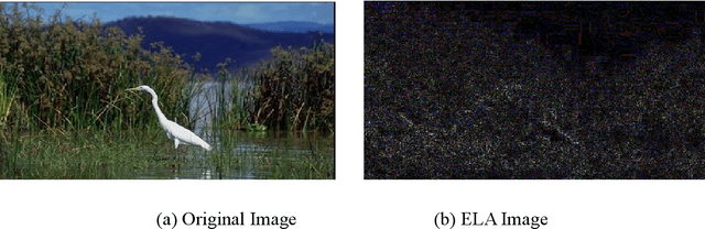 Figure 3 for A Novel Face-Anti Spoofing Neural Network Model For Face Recognition And Detection