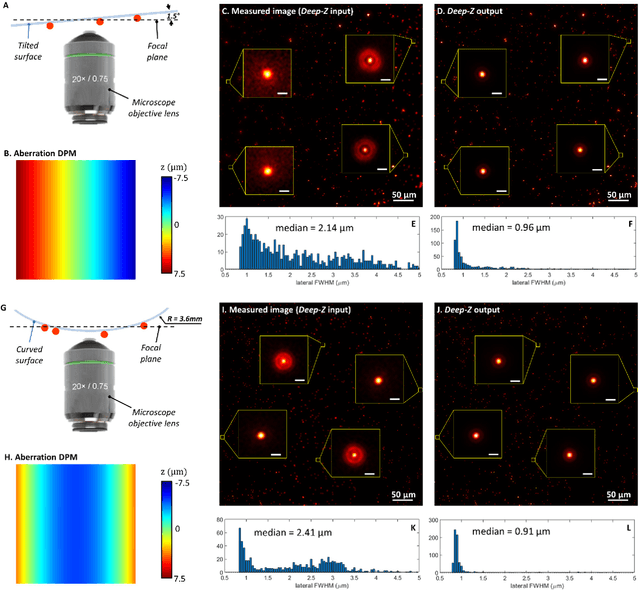 Figure 3 for Three-dimensional propagation and time-reversal of fluorescence images