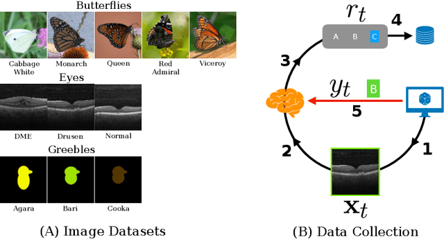 Figure 3 for Visual Knowledge Tracing