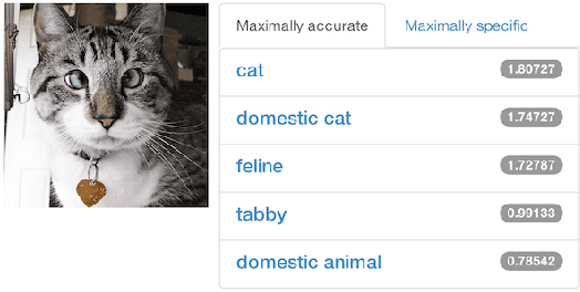 Figure 3 for Caffe: Convolutional Architecture for Fast Feature Embedding