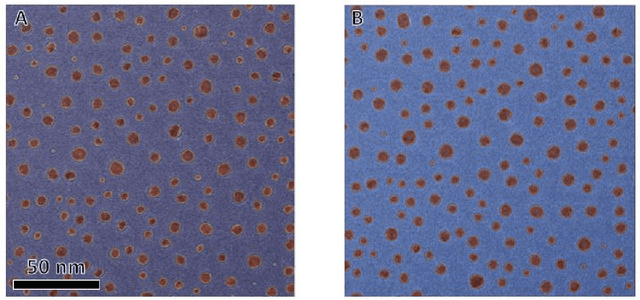 Figure 4 for Understanding Important Features of Deep Learning Models for Transmission Electron Microscopy Image Segmentation