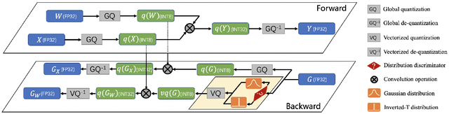 Figure 3 for Distribution Adaptive INT8 Quantization for Training CNNs