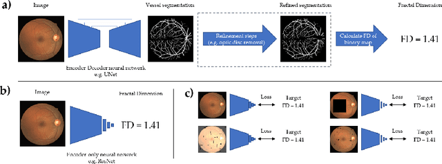 Figure 1 for Robust and efficient computation of retinal fractal dimension through deep approximation