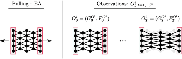 Figure 3 for EDO-Net: Learning Elastic Properties of Deformable Objects from Graph Dynamics