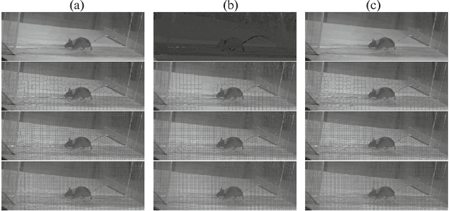 Figure 1 for Application of Superpixels to Segment Several Landmarks in Running Rodents