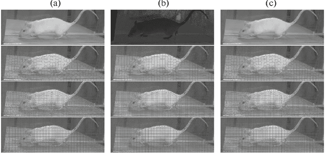 Figure 2 for Application of Superpixels to Segment Several Landmarks in Running Rodents