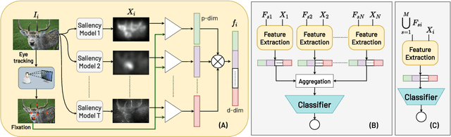 Figure 3 for Classifying Eye-Tracking Data Using Saliency Maps
