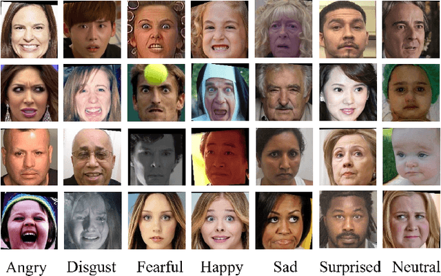 Figure 1 for Boosting Facial Expression Recognition by A Semi-Supervised Progressive Teacher