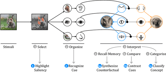 Figure 1 for Towards Relatable Explainable AI with the Perceptual Process