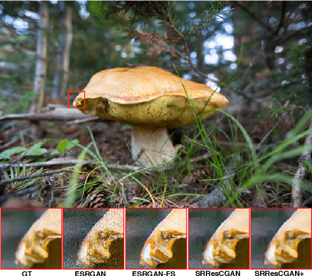 Figure 1 for Deep Generative Adversarial Residual Convolutional Networks for Real-World Super-Resolution