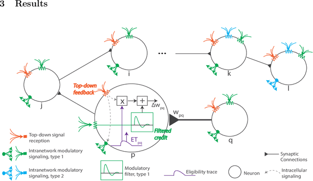 Figure 1 for Biologically-plausible backpropagation through arbitrary timespans via local neuromodulators