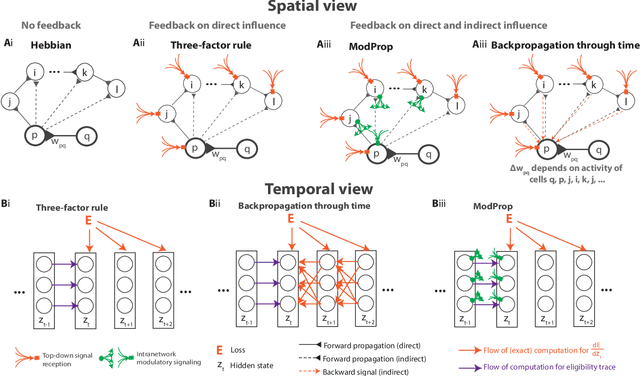 Figure 2 for Biologically-plausible backpropagation through arbitrary timespans via local neuromodulators