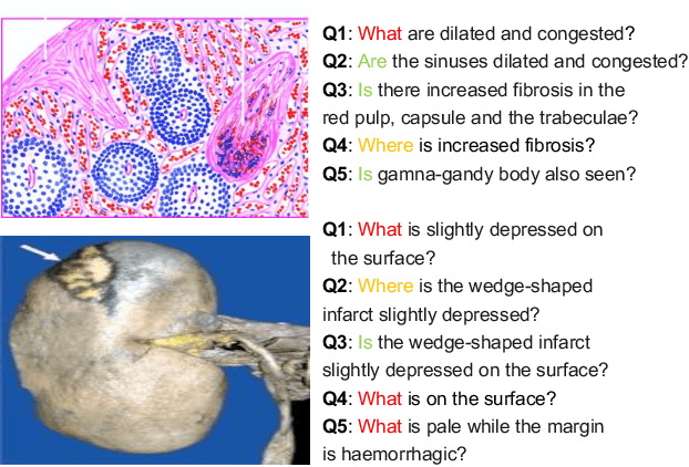 Figure 1 for Pathological Visual Question Answering