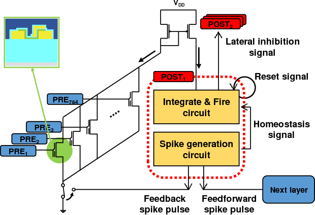 Figure 2 for Unsupervised Online Learning With Multiple Postsynaptic Neurons Based on Spike-Timing-Dependent Plasticity Using a TFT-Type NOR Flash Memory Array