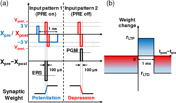 Figure 3 for Unsupervised Online Learning With Multiple Postsynaptic Neurons Based on Spike-Timing-Dependent Plasticity Using a TFT-Type NOR Flash Memory Array