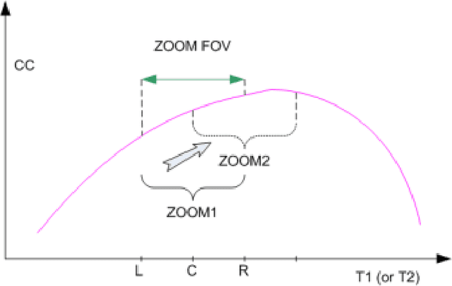 Figure 1 for MRF-ZOOM: A Fast Dictionary Searching Algorithm for Magnetic Resonance Fingerprinting