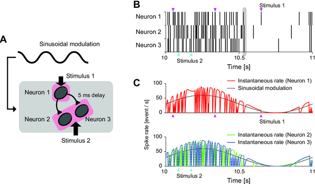 Figure 1 for Single-trial estimation of stimulus and spike-history effects on time-varying ensemble spiking activity of multiple neurons: a simulation study
