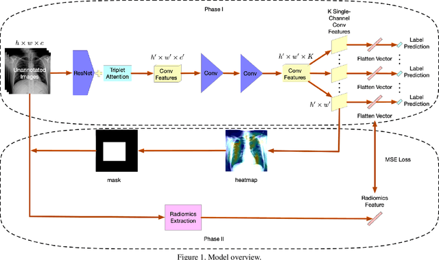 Figure 1 for Using Radiomics as Prior Knowledge for Abnormality Classification and Localization in Chest X-rays