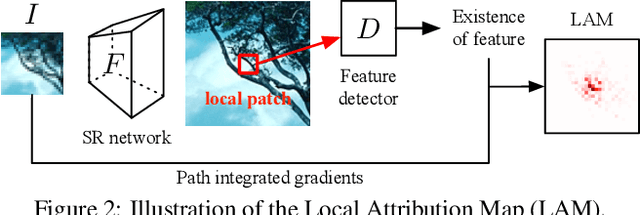 Figure 3 for Interpreting Super-Resolution Networks with Local Attribution Maps