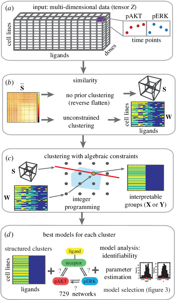 Figure 1 for Tensor clustering with algebraic constraints gives interpretable groups of crosstalk mechanisms in breast cancer