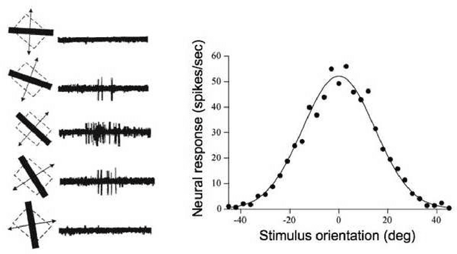 Figure 4 for Robust and scalable Bayesian analysis of spatial neural tuning function data