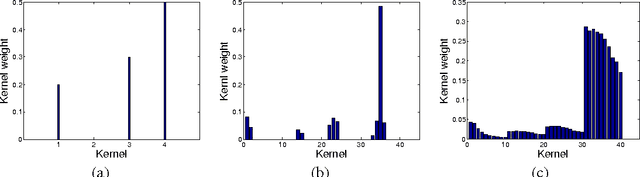 Figure 1 for Multiple Kernel Learning in the Primal for Multi-modal Alzheimer's Disease Classification
