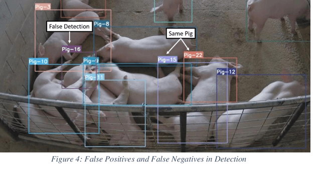 Figure 3 for Tracking Grow-Finish Pigs Across Large Pens Using Multiple Cameras