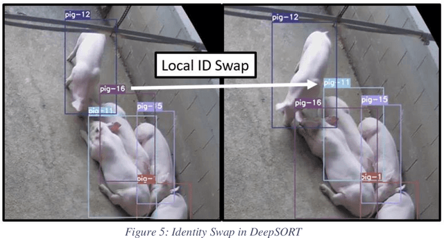 Figure 4 for Tracking Grow-Finish Pigs Across Large Pens Using Multiple Cameras