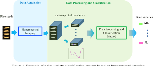 Figure 1 for Rice Classification Using Spatio-Spectral Deep Convolutional Neural Network