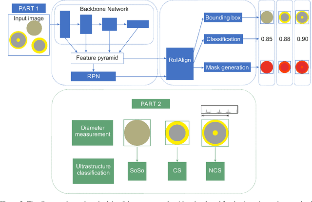 Figure 3 for Automated Classification of Nanoparticles with Various Ultrastructures and Sizes